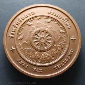 Commemorative coin, medal of CHAI NAT province size 4 cm
