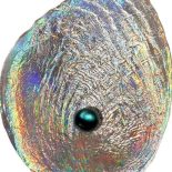2012 – Sea Treasures Haliotis Iris Silver Proof With Pearl