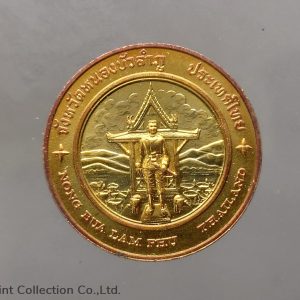 Commemorative coin, medal of NONG BUA LAM PHU province size 2.5 cm