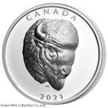 2021 Canada Buffalo Extraordinary High Relief 1 oz Silver Proof $25 Coin
