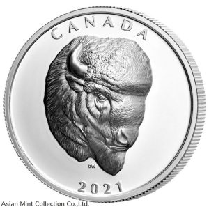 2021 Canada Buffalo Extraordinary High Relief 1 oz Silver Proof $25 Coin