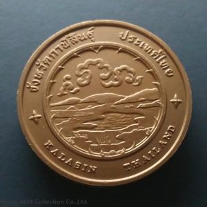 Commemorative coin, medal of KALASIN province size 4 cm