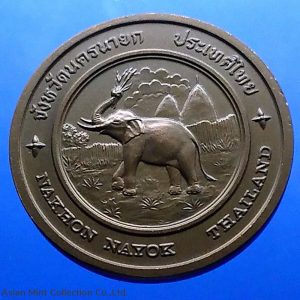 Commemorative coin, medal of NAKHON NAYOK province size 4 cm