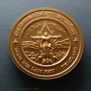 Commemorative coin, medal of NONG BUA LAM PHU province size 4 cm
