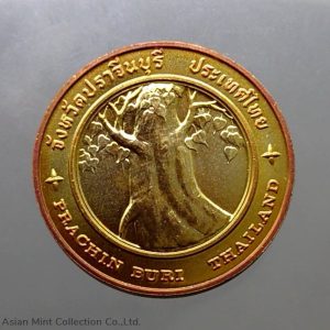 Commemorative coin, medal of PRACHIN BURI province size 2.5 cm