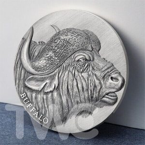 Buffalo Expressions of Wildlife 2 oz Antique finish Silver Coin Cameroon 2022