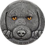 2018 – Year of the Dog 3 oz Antique finish Silver Coin 3000 Francs CFA Cameroon