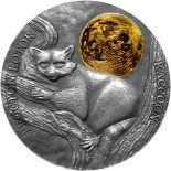 2021 – Raccoon Wildlife in the Moonlight Antique finish Silver Coin 2 Cedis Ghana