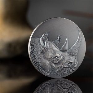 2023 - Black Rhino Expressions of Wildlife 2oz Antique finish Silver Coin Cameroon