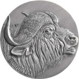 2022 – Buffalo Expressions of Wildlife 2 oz Antique finish Silver Coin Cameroon