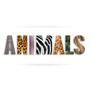 Animal Theme