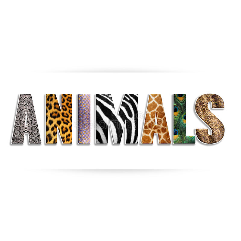 Animal Theme
