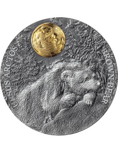 1.2023 - Brown Bear Wildlife in the Moonlight 2 oz Antique finish Silver Coin Niue