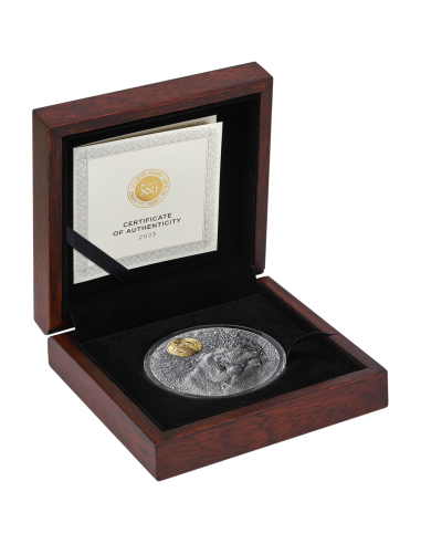 4.2023 - Brown Bear Wildlife in the Moonlight 2 oz Antique finish Silver Coin Niue