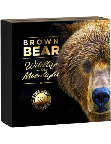 5.2023 - Brown Bear Wildlife in the Moonlight 2 oz Antique finish Silver Coin Niue