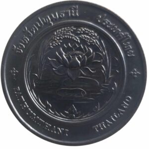 Commemorative coin, medal of PATHUMTHANI province size 4 cm
